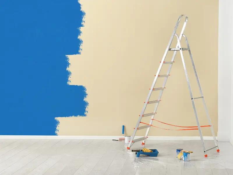 Holden interior painting